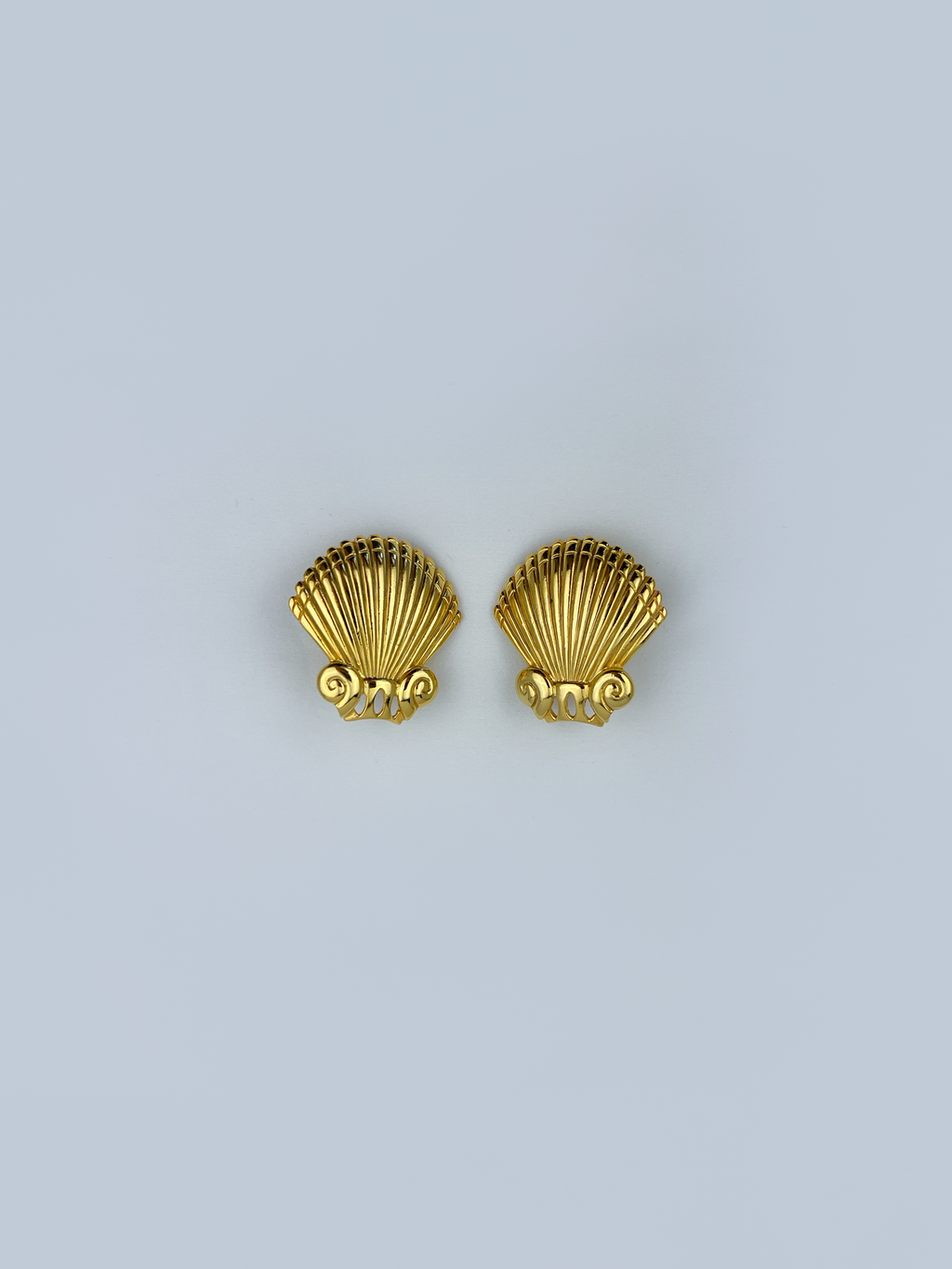 Shell Earrings