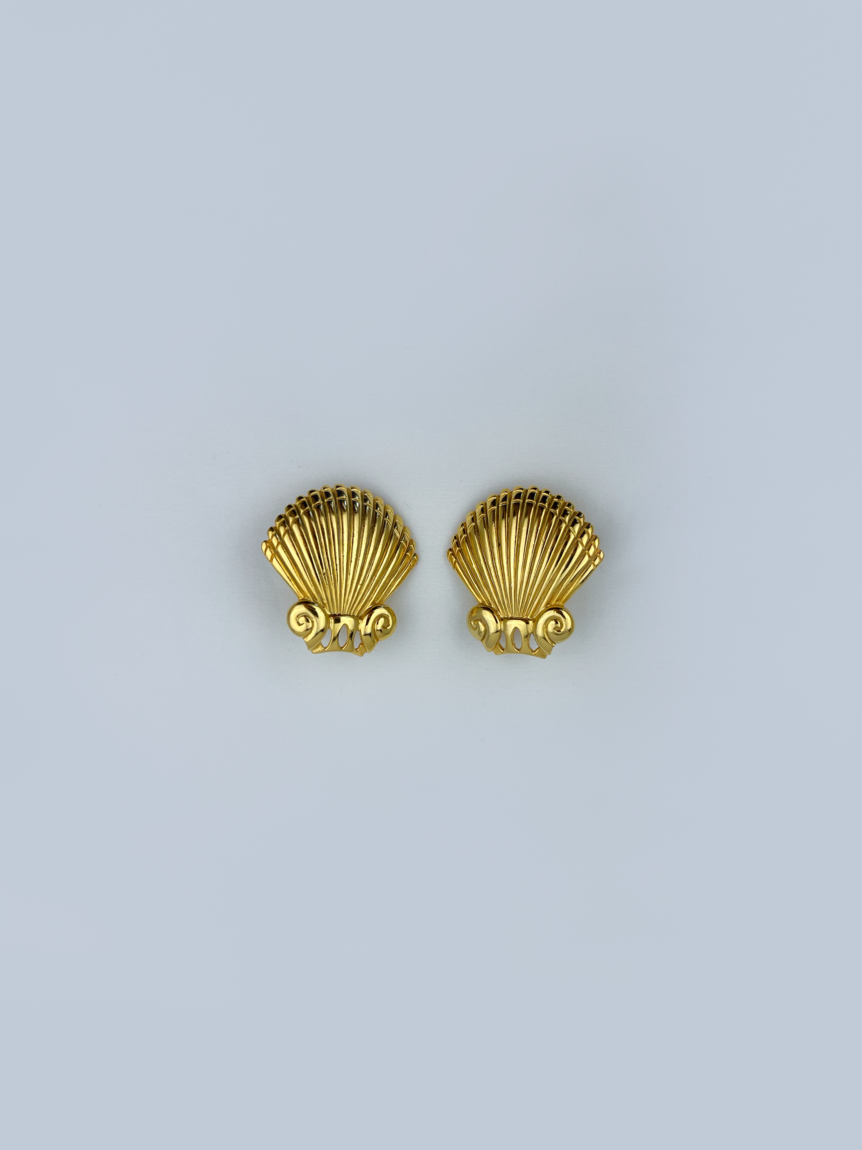 Shell Earrings