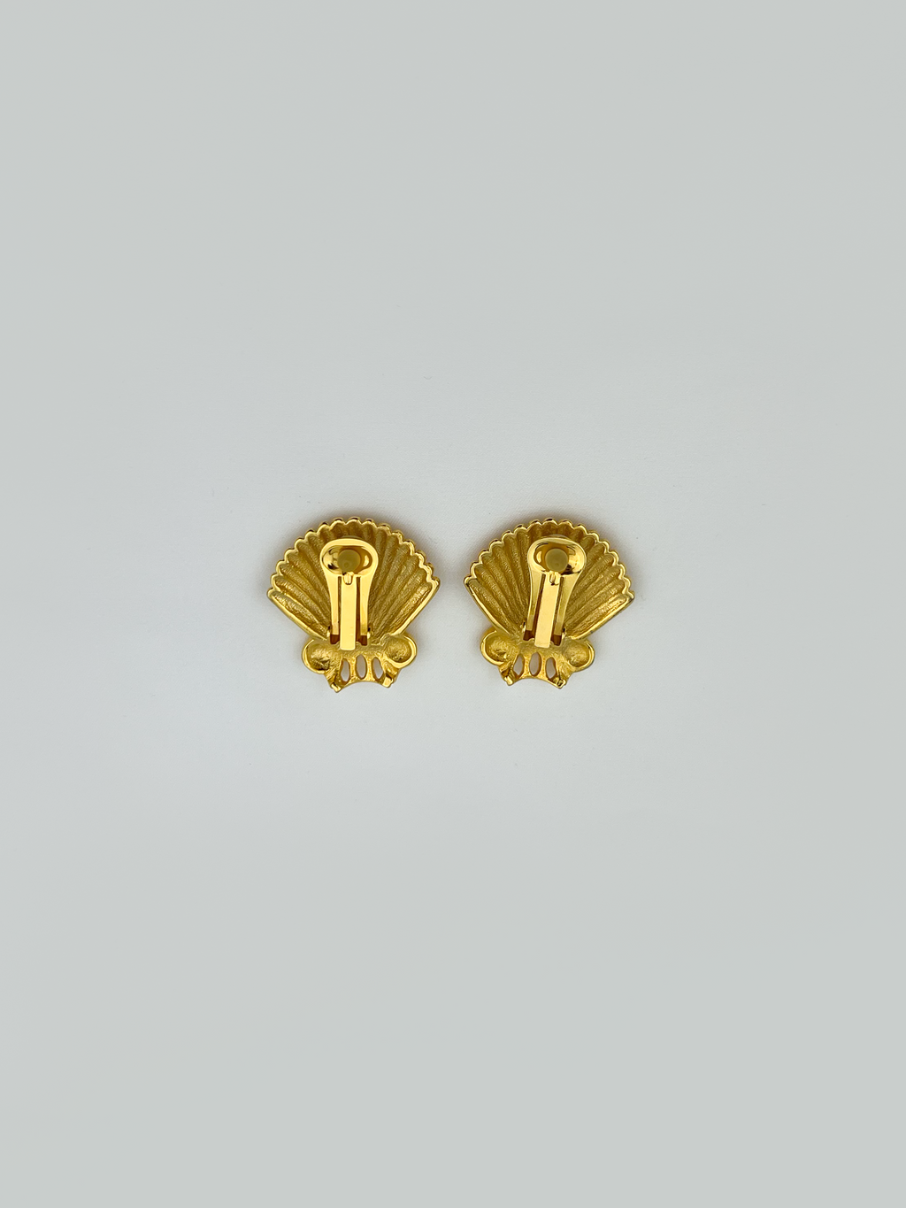 Shell Earrings