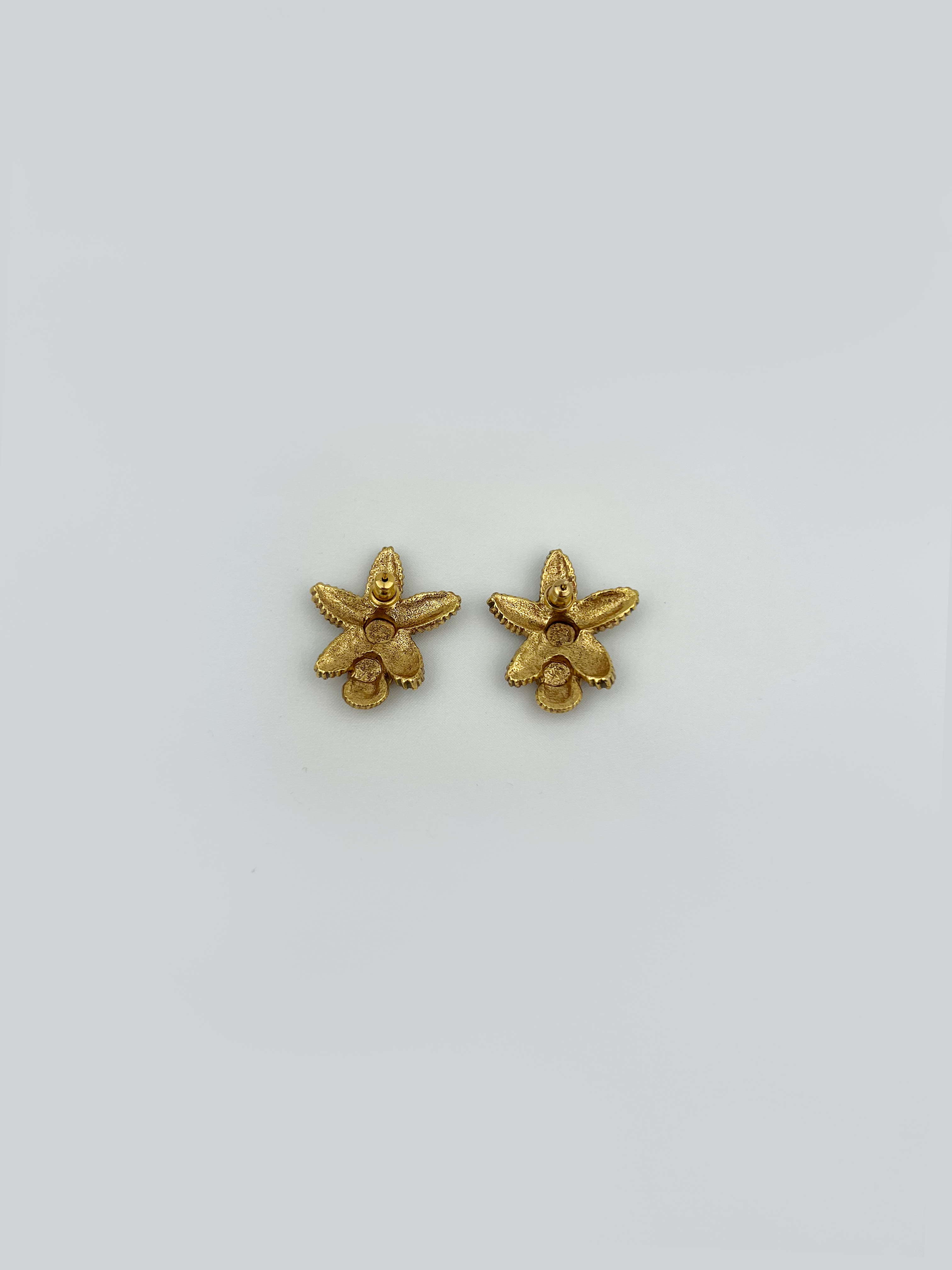Starfish Earrings